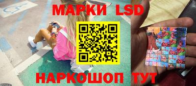 МДПВ Камышлов