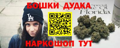 МДПВ Камышлов