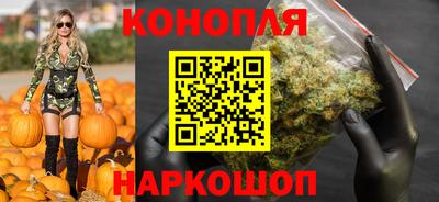 МДПВ Камышлов