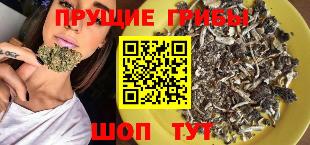 Псилоцибиновые грибы ЛСД Куйбышев