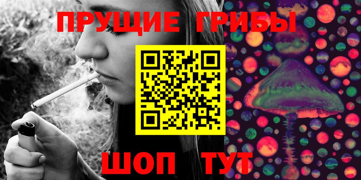 Псилоцибиновые грибы GOLDEN TEACHER  Вход с VPN  Куйбышев 